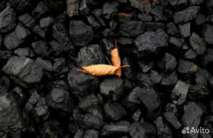 Уголь для отопления Дом,Дпк топки