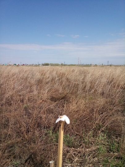 Участок 16 сот. (ИЖС)