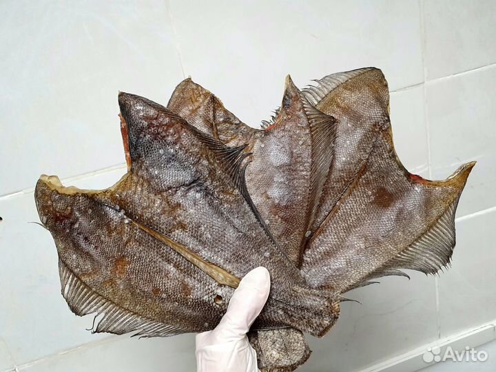 Вяленая рыба камбала-ерш, камбала, корюшка