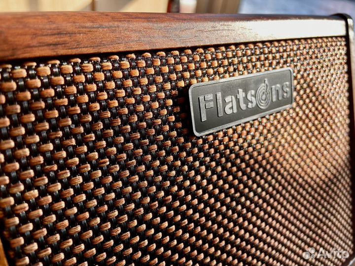 Flatsons Crush-15 Комбоусилитель гитарный, портати