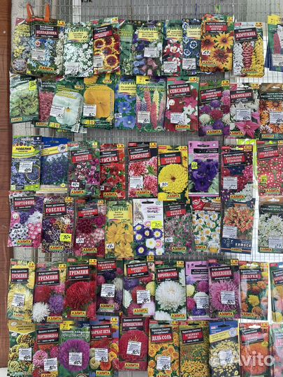 Семена овощей и цветов много