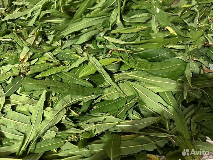 Зверобой, иван чай,кукушкин хлеб, чебрец