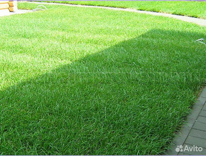 Рулонный газон Элитный под ключ