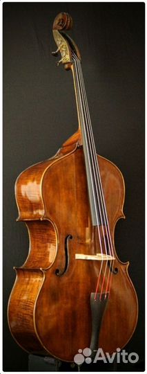 Контрабас 