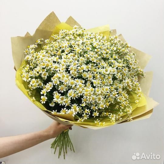 Букет ромашек