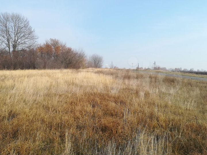 Участок 45 сот. (ИЖС)