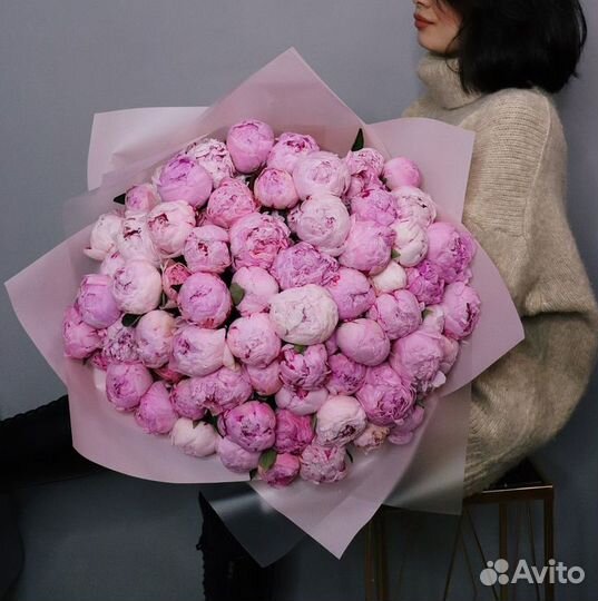 51 пион