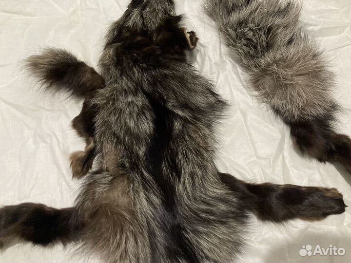 Шкурка лисы чернобурки