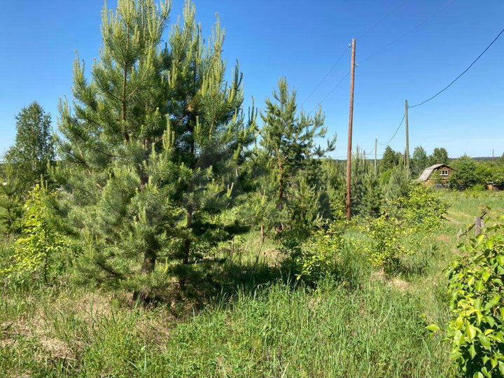 Участок 13 сот. (ИЖС)