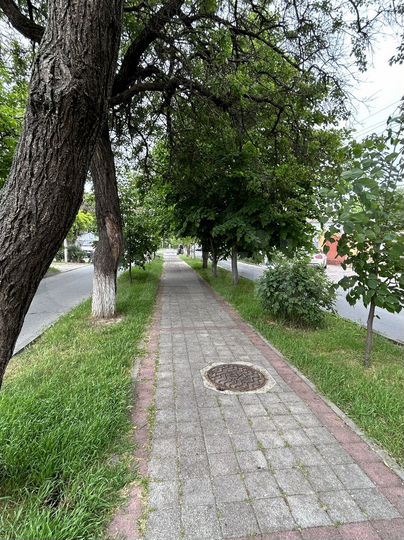 Участок 7 сот. (ИЖС)