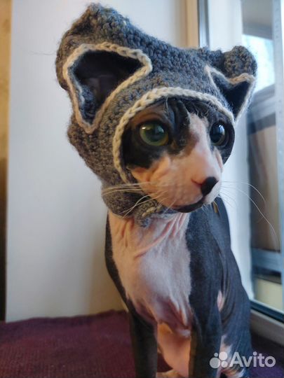 Шапка для кота собаки