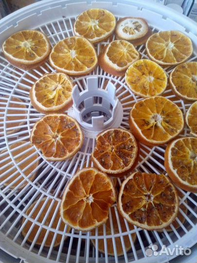 Электросушилка Вольтера-1000