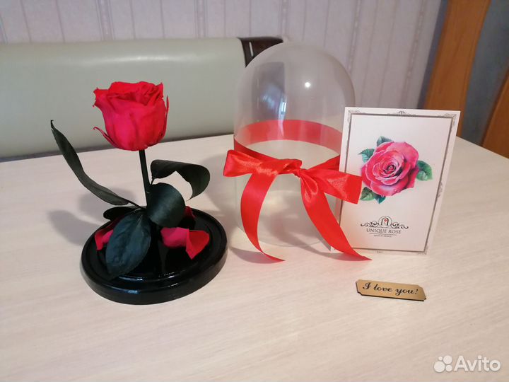 Роза в колбе