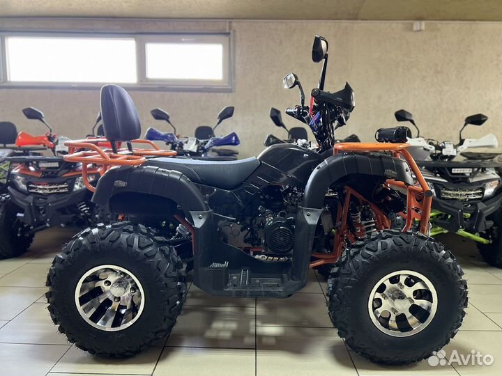 Квадроцикл Avantis Hunter 200 Premium 2023