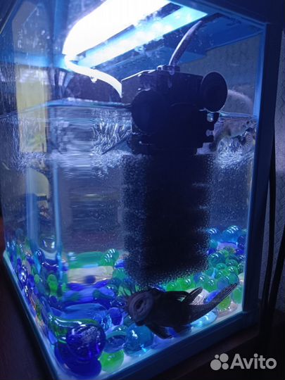 Аквариум 5 литров