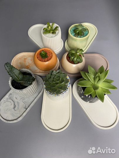 Поднос из гипса и суккулент
