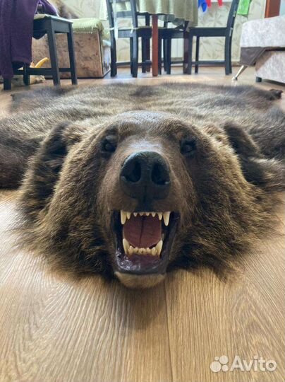 Шкура медведя имитация