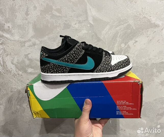 Nike Sb Dunk Low Pro