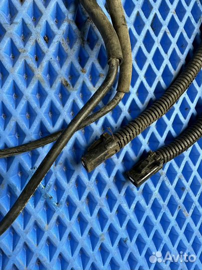 Датчик abs передний Hyundai Elantra hd