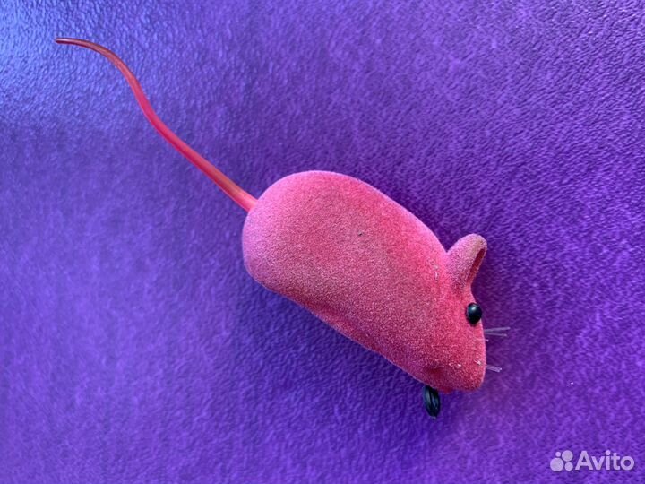 Мышка для кошки Игрушки для котят бу для животных