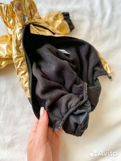 Одежда для собак