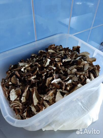 Грибы белые сушеные