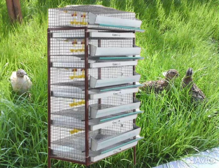 Клетки для перепелов, полный комплект