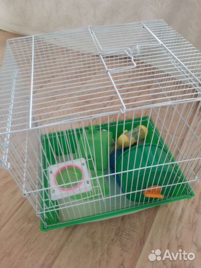 Клетка для грызунов