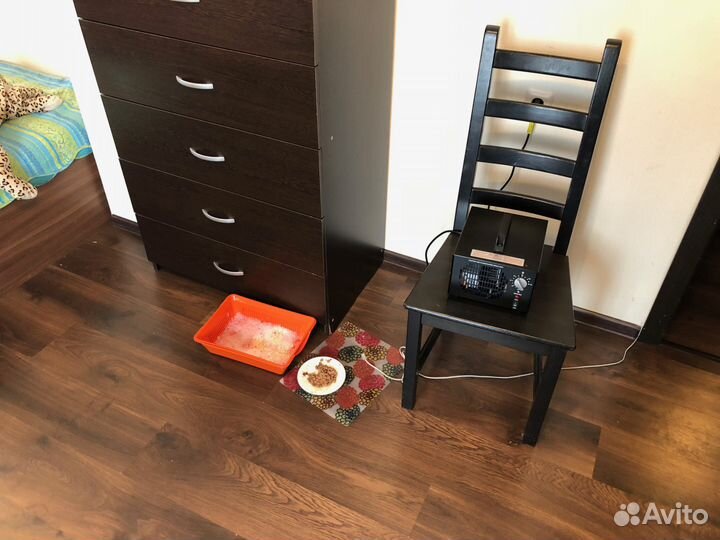 Промышленный озонатор