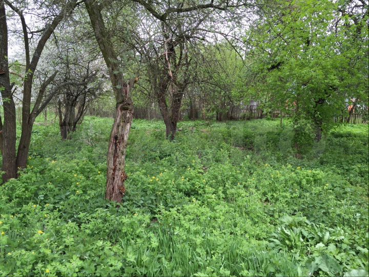 Участок 10 сот. (ИЖС)