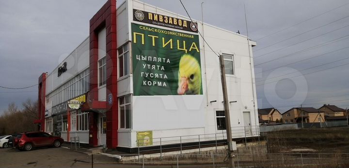 Сдам помещение свободного назначения, 180 м²