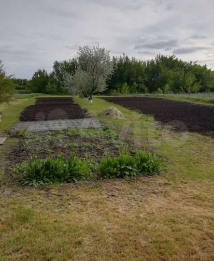 Дом 50 м² на участке 15 сот.