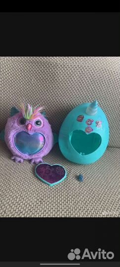 Сова Rainbocorns