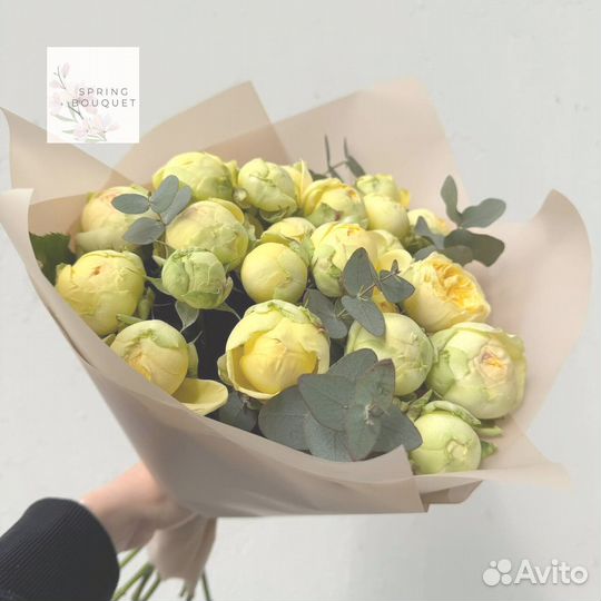 Свежие цветы. Тюльпаны