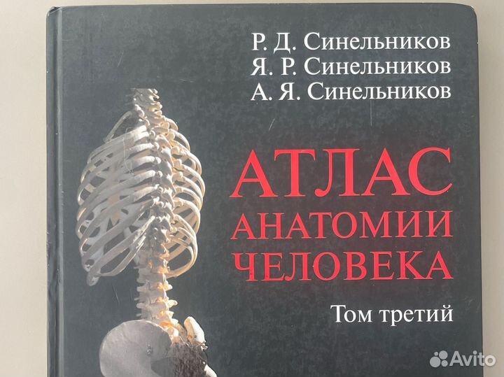 Книги анатомия человека