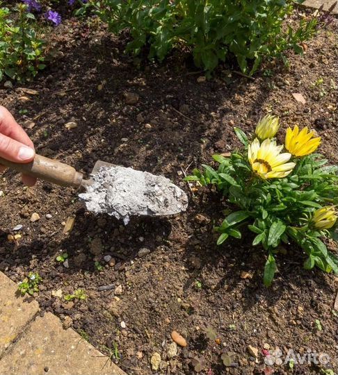 Зола древесная 5л чистая удобрение