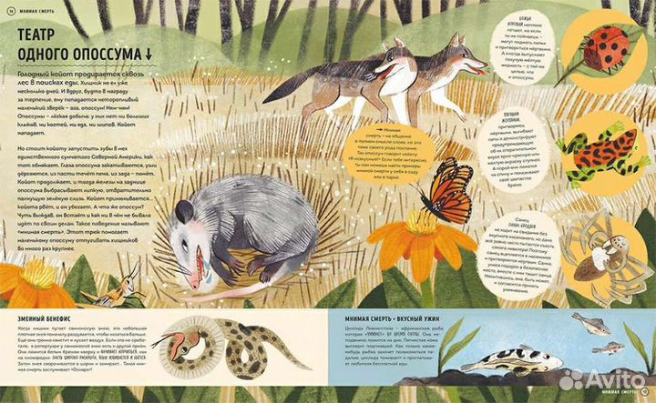 О чем рычит тигр новая