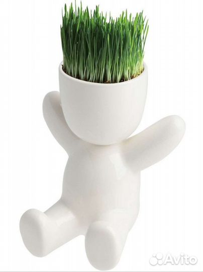 Набор для выращивания