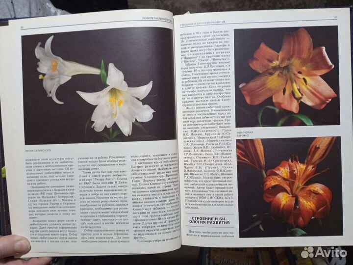 Книга Лилии издательства Хоббикнига