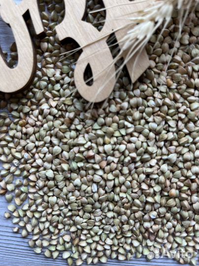 Зеленая гречка