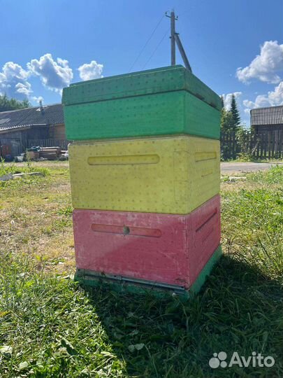 Улей для пчел