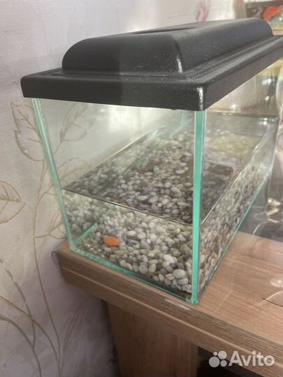 Аквариум для рыбок