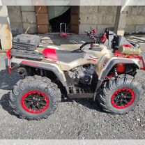 Аodes1000 Mud Pro (золотой ) коротыш