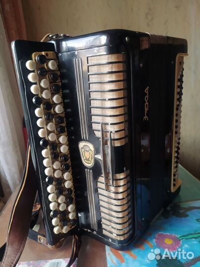 Баян тульский 