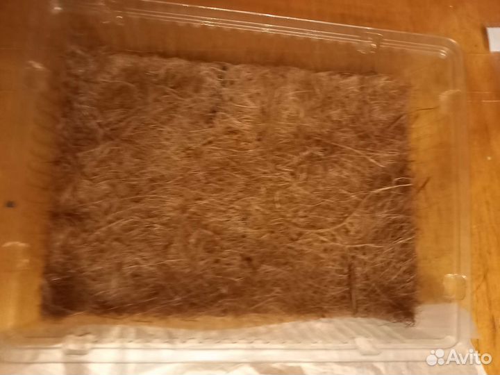 Набор контейнеров с ковриками