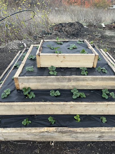 Участок 9,1 сот. (СНТ, ДНП)