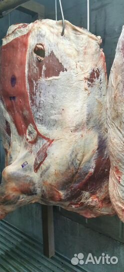 Мясо оптом
