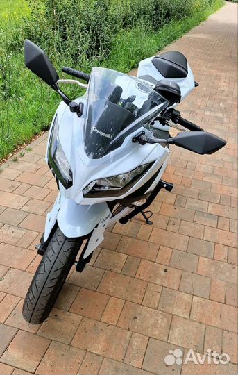 Kawasaki Ninja 300 ABS EX300B