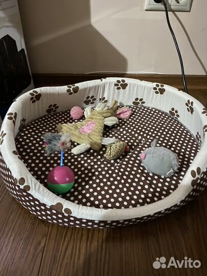 Домик для кошки и лежак