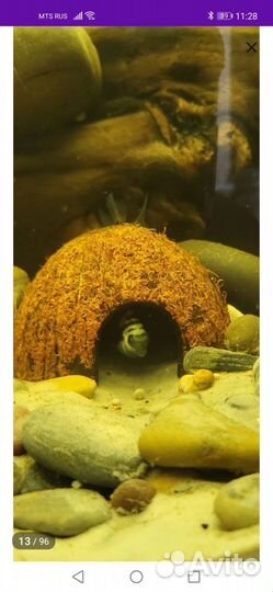 Декорации для аквариума